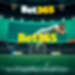 Bet 365: 베팅의 새로운 지평 Introduction