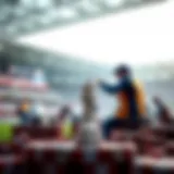 A strategic overview of betting strategies