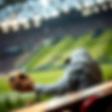 Enhancing the betting experience with expert tips