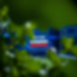 Login interface for Nextbet agents