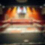 Understanding UFC betting odds