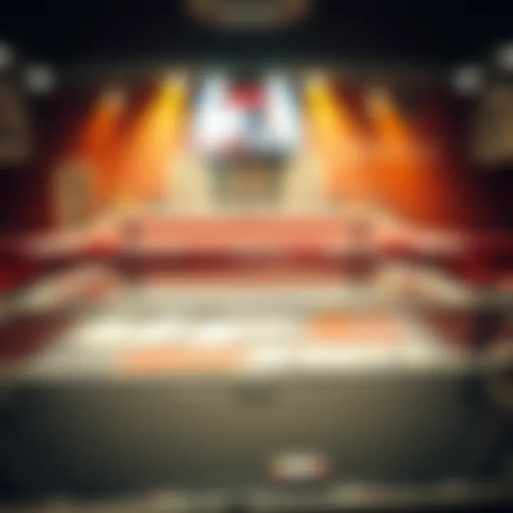 Decoding the Complexity of UFC Betting Odds Understanding UFC betting odds